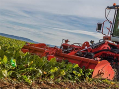 Запчасти для свеклоуборочных комбайнов PROMIS